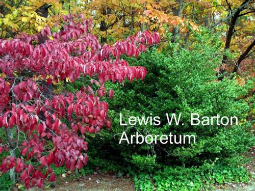 arboretum