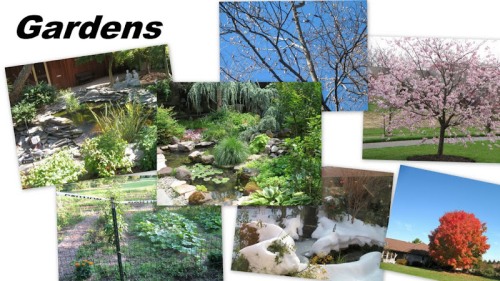 gardens