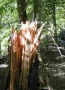irene trails